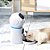 Alimentador Comedouro Automático Gatos Cães Pet Programável Cor Branco - Imagem 9