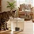 Fonte Bebedouro Automático Gato Cachorro Com Filtro Água Fresca - Imagem 1