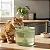 Fonte Bebedouro Automático Gato Cachorro Com Filtro Água Fresca - Imagem 2