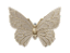 Adorno Decorativo Poli Butterfly Dou - 18x15,5x5cm - Tuut - Imagem 1