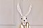 Decoração Coelho Tecido Branco/Bege - 47cm - 1UN - Tokdacasa - Imagem 2