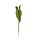 Folhagem Alocasia Toque Real - Alt. 41X8CM - Brilliance - Imagem 1