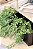 Cachepot Em Metal - Preto - Mart - Imagem 3