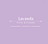 Sachê Perfumado Lavanda 20g - Imagem 3