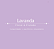 Difusor de Varetas - Lavanda 200 ml - Imagem 3