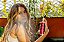 Body Splash - Power Glow 200ml - Inspirado no Delina – Parfums de Marly - Imagem 2