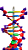 Dupla hélice de DNA - Imagem 3