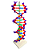Dupla hélice de DNA - Imagem 1