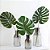 Kit 12 Folhas Costela De Adão Artificial Decoração - Imagem 8