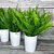 Kit Buquê Samambaia Artificial Decorativa 43cm 2 Unidades - Imagem 6