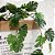 4 Pendente Costela De Adão Planta Artificial Decoração - Imagem 8
