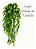 2 Pendente De Mini Ficus Folhagem Planta Artificial Premium - Imagem 3