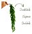 2 Pendente De Mini Ficus Folhagem Planta Artificial Premium - Imagem 2
