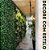 Kit 12 Galhos Folhagem Decorativa Ficus Artificial Premium - Imagem 5