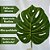 Folha Costela De Adão Artificial Verde Grande Decoração - Imagem 2