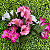 Kit 2 Galhos Astromélia Artificial Realista Flores Decoração - Imagem 9