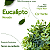 Kit 6 Buquê De Eucalipto Artificial Pick Toque Real Nevado - Imagem 2