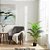 Planta Artificial Palmeira 18 Folhas Coqueiro Árvore 70cm - Imagem 5