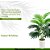 Planta Artificial Palmeira 18 Folhas Coqueiro Árvore 70cm - Imagem 2