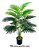 Planta Artificial Palmeira 24 Folhas Coqueiro Árvore 70cm - Imagem 5