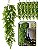 Kit 6 Pendente Samambaia Artificial Renda Portuguesa Slim - Imagem 1