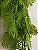 Pendente Palmeira Coqueiro Artificial 80cm Realista Verde - Imagem 6