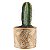 Vaso Decorativo Enfeite Mesa Sala para Suculenta Plantinhas - Imagem 6