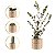 Vaso Decorativo moderno Mesa Sala para Suculenta Plantinhas - Imagem 1