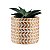 Vaso mesa moderno Sala para Suculenta Plantinhas - Imagem 6