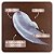 Creme Facial Hidratante Nivea Pele Negra 7 em 1 Beleza Radiante 100g - Ilumina, Hidrata e Uniformiza - Imagem 5