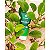 Anasol Gel Hidratante Pós-Sol  Ação Calmante Hipoalergênico Aloe Vera - 200g - Imagem 4