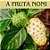 Comprar Noni Polpa de Fruta Noni 500ml Orgânico e Natural - Imagem 7