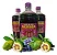 Suco orgânico da Fruta Noni e Natural Pronta Entrega kit 03 Litros - Imagem 1