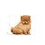RAÇÃO SECA ROYAL CANIN CÃO PUPPY MINI INDOOR 7,5KG - Imagem 3
