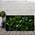 Quadros Decorativos Natureza AI - Imagem 15