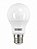 Lampada Led Bulbo 17w 6500k E27 Bivolt Taschibra - Imagem 1