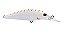 Isca Artificial Marine Sports Raptor Shad 70 - 7cm 8g - Imagem 4