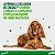 Credeli Antipulgas Carrapatos Cães 1,3 A 2,5 Kg 1 Comprimido - Imagem 7