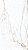 Piso Porcelanato - Villagres - Marmo - Natural Soft - Marmo D’oro - 8mm - 610 x 1065mm - 1,95 m2 - Imagem 1