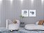 Painel Ripado - Santa Luzia - Gize 144 Cinza Glacial - Imagem 3