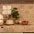 Revestimento - Strufaldi Ateliê - Umbria - Perugia - 15 x 15 - 1,50 m2 - Imagem 4