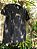 Camiseta Oversized | Apocalipse 22:5 - Imagem 7