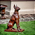 Escultura Cachorro Dobermann - Imagem 1