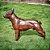 Escultura Cachorro Pitbull - Imagem 1