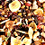 Mix de Frutas Desidratadas – A Granel (Venda por Kg) - Imagem 1