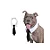 Colarinho com Gravata Social Black Tie Pet - Imagem 1