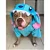 Casaco Pet lilo Stitch - Imagem 2