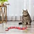 Cobra Elétrica Para Gatos Brinquedo Pet Caça Interativos - Imagem 4