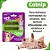 Erva dos Gatos Catnip 2 Potes Pó Desidratado 2g - Imagem 3