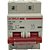 Disjuntor Termomagnetico  Bipolar  SD-125 100A 2P Curva C - 10kA TEKLE - Imagem 2